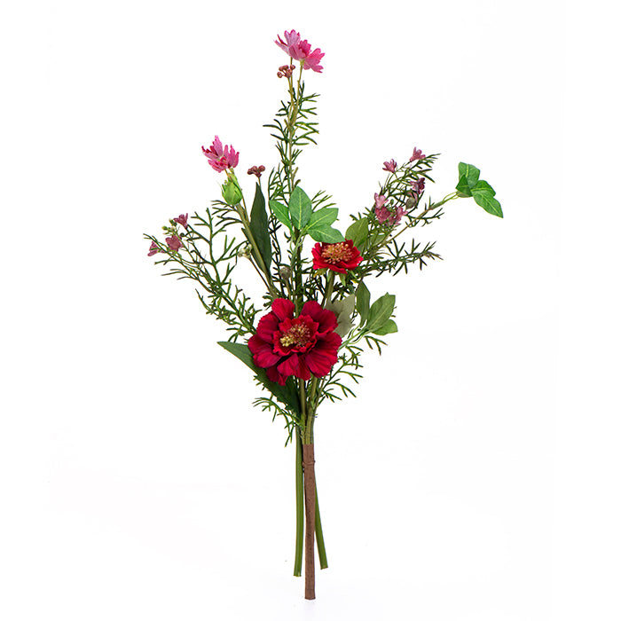 ענף ספרינג רד