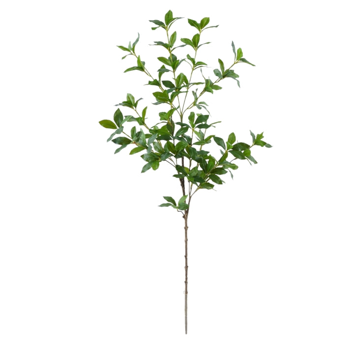 ענף שוגון גרין