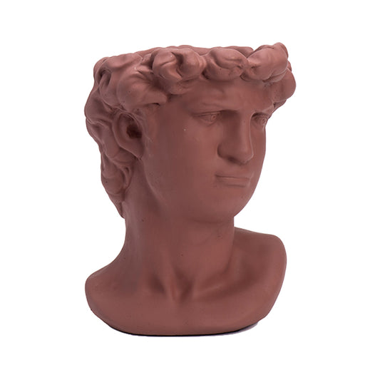 פייס בטון דיוויד טרה L