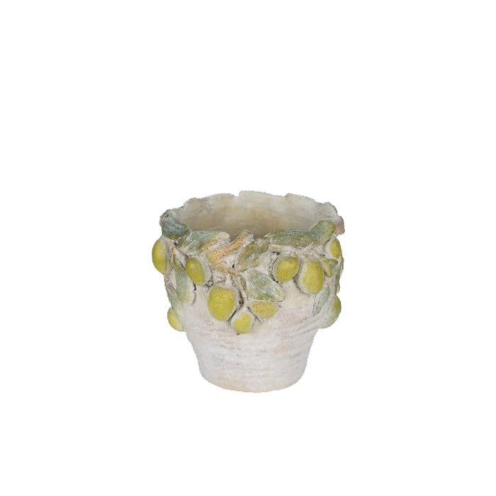 פלנטר אמאלפי M