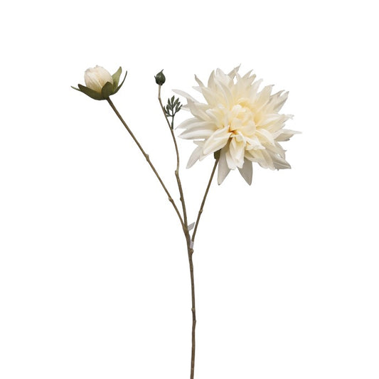 ענף דליה מילקי