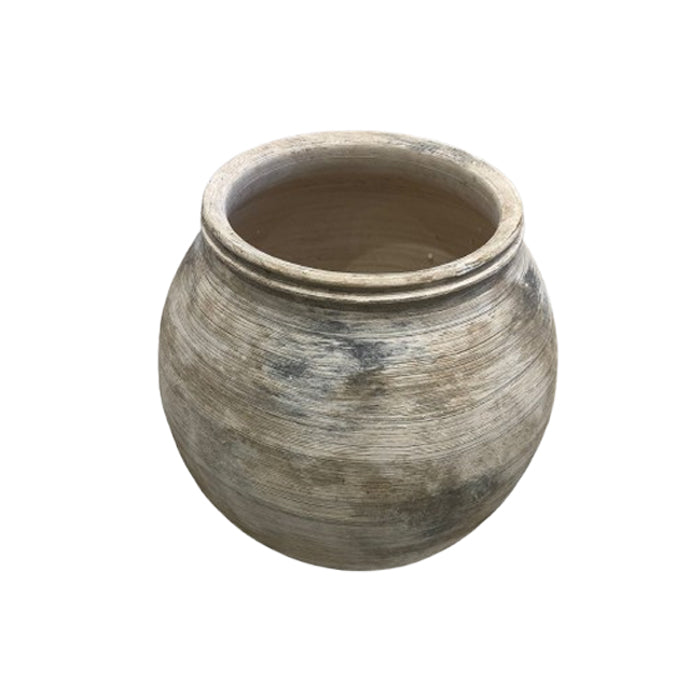 ואזה נבאדה נטוראל