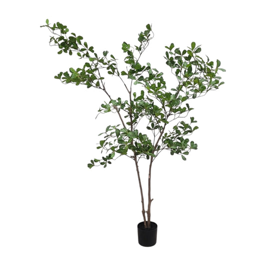 מונסון טרי 180 ס"מ