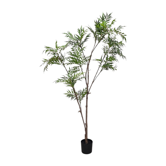 ג'אנגל טרי 210 ס"מ