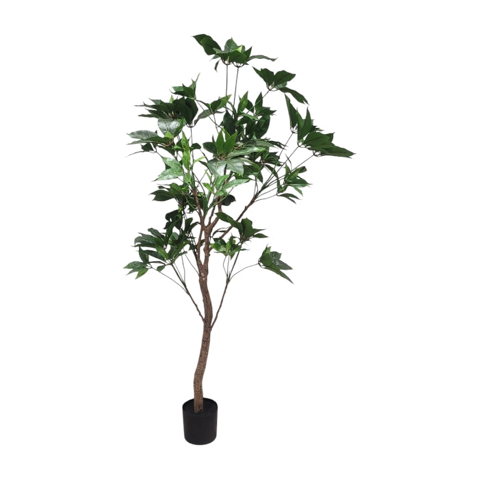 טיקו טרי 190 ס"מ