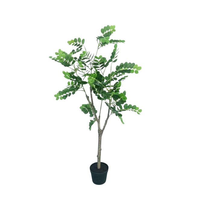 עץ עד רוביניה