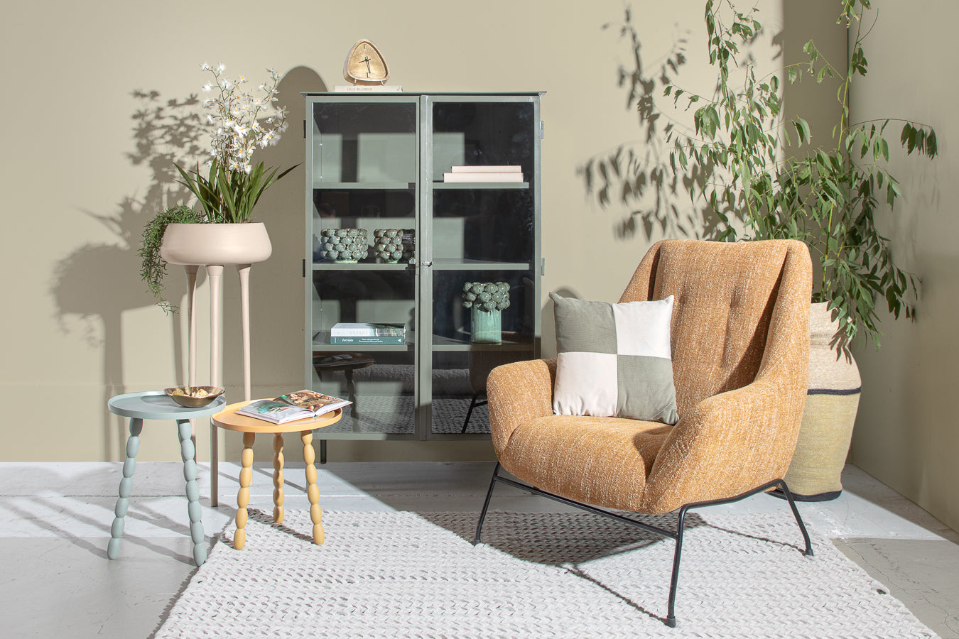 סוייל ספיידר אורכיד ווייט S