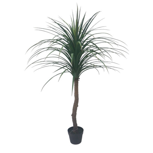 עציץ אגבה 123 ס"מ