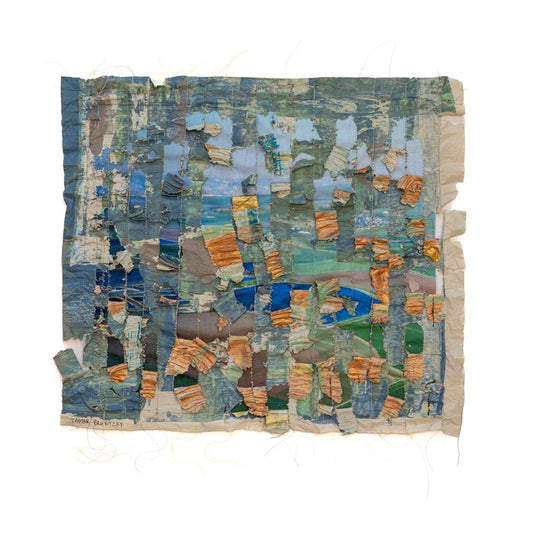 כמו מיליון שירים - תמר ברניצקי