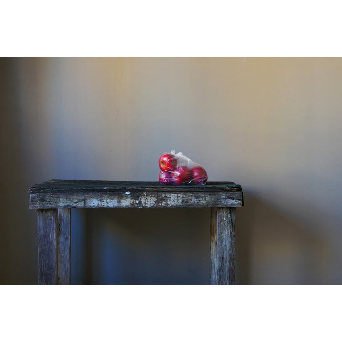 תפוחים בשקית - חני לפידות