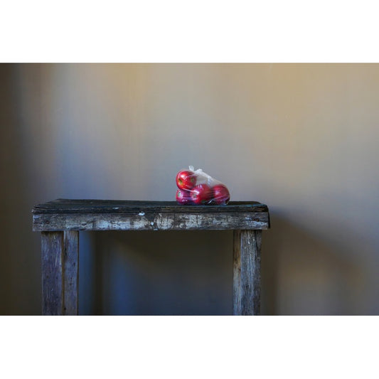 תפוחים בשקית - חני לפידות