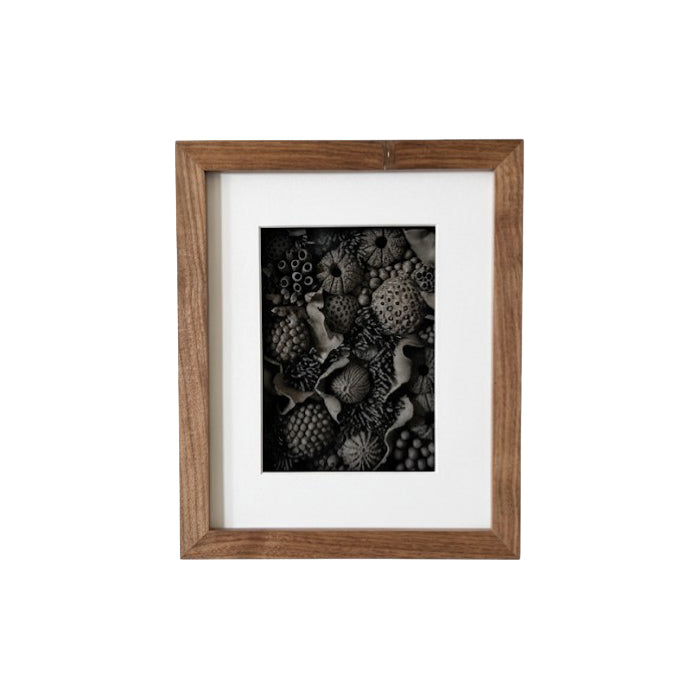 Black Porcelain Coral - מאיה אבישי