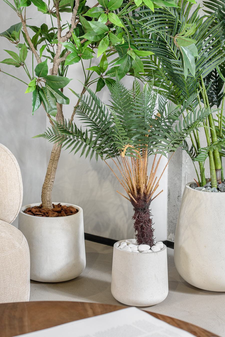 חלוקי נחל- מארז