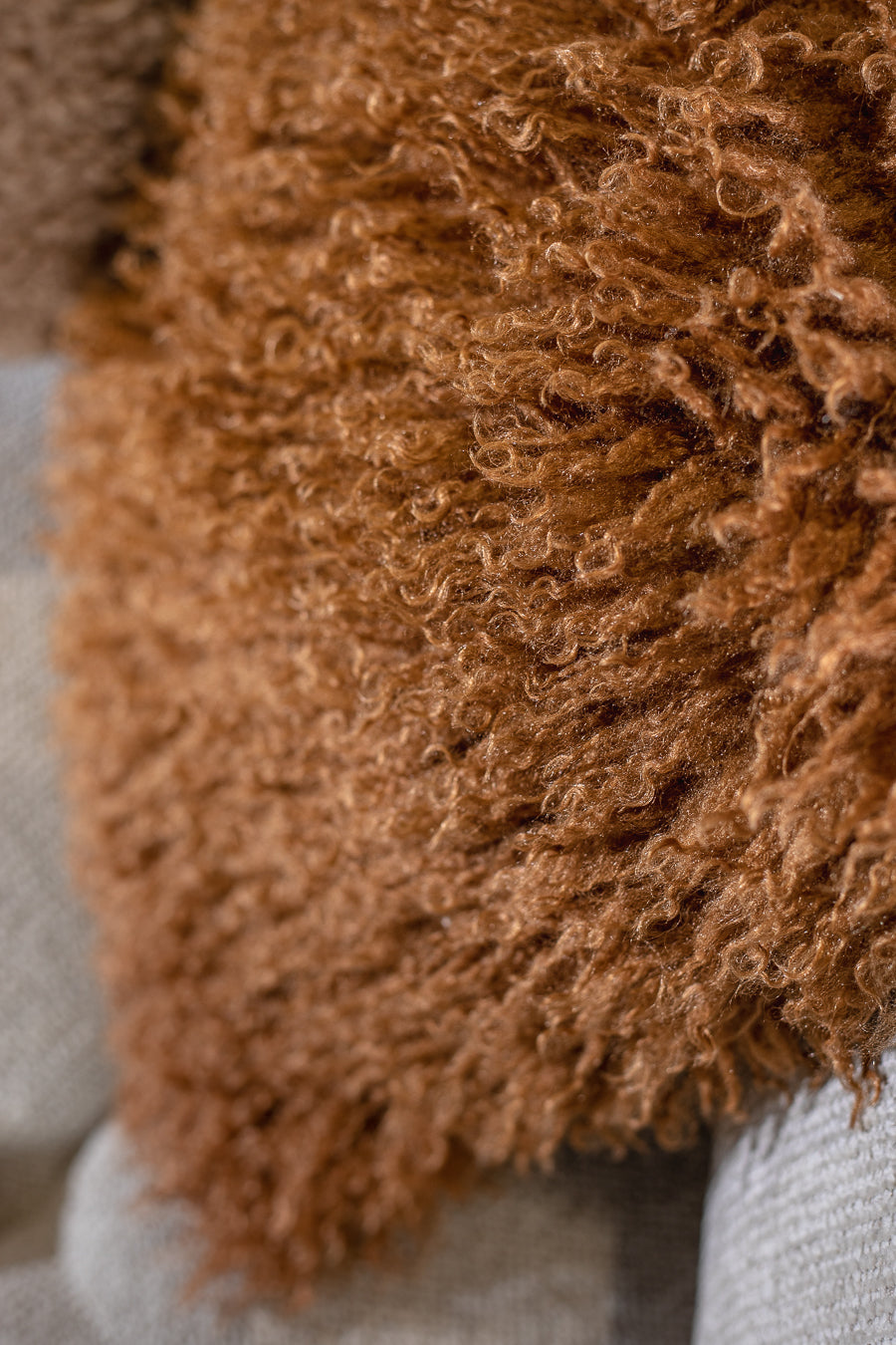 כרית פאפי טרה