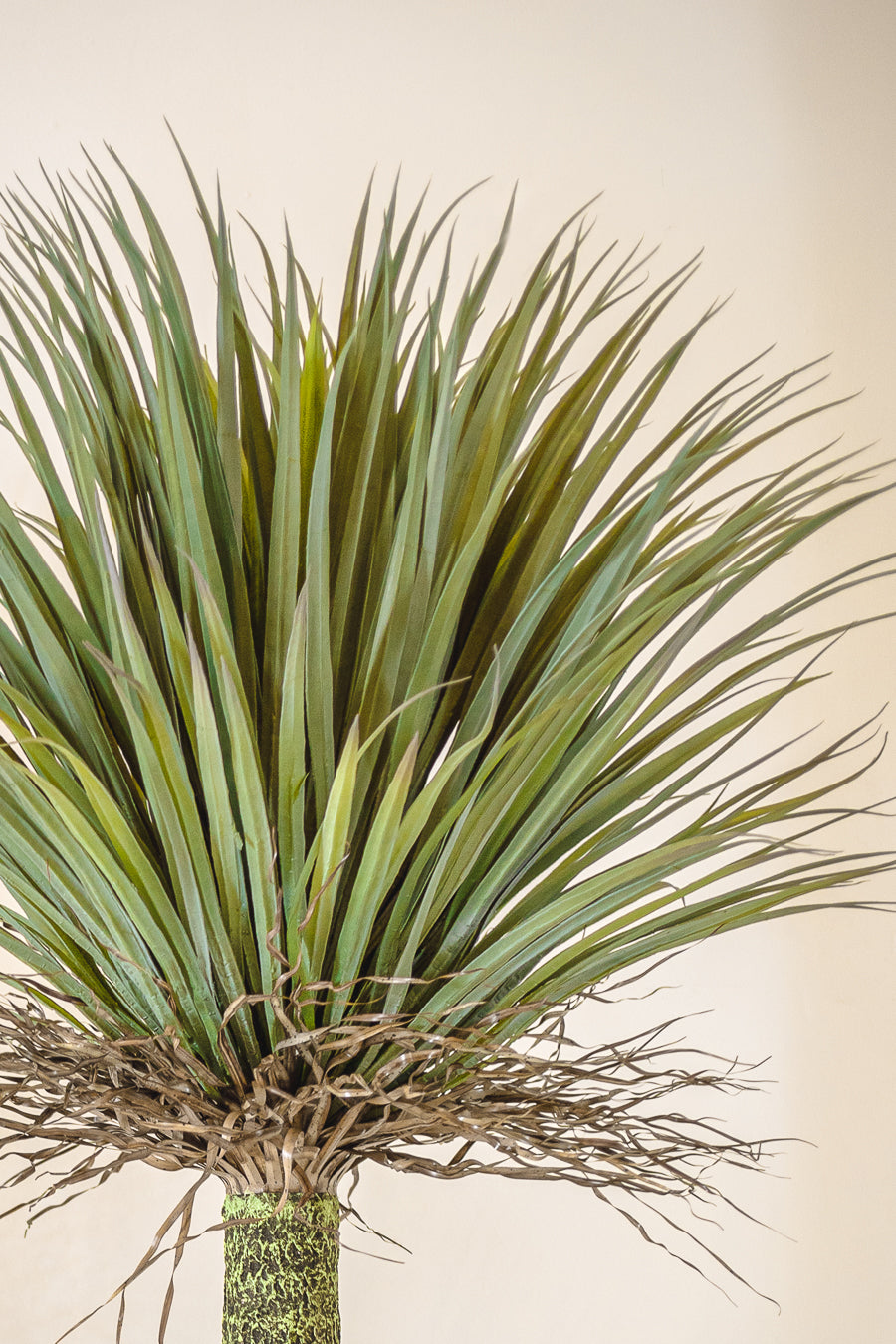 עציץ סיסיאל UV טרי 131 ס"מ