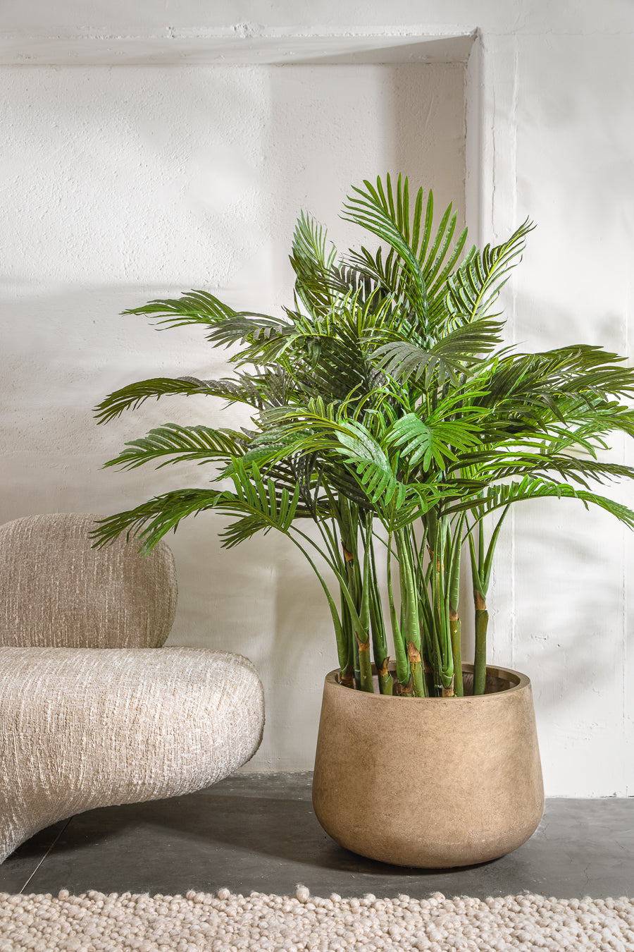 עציץ מיני פאלם