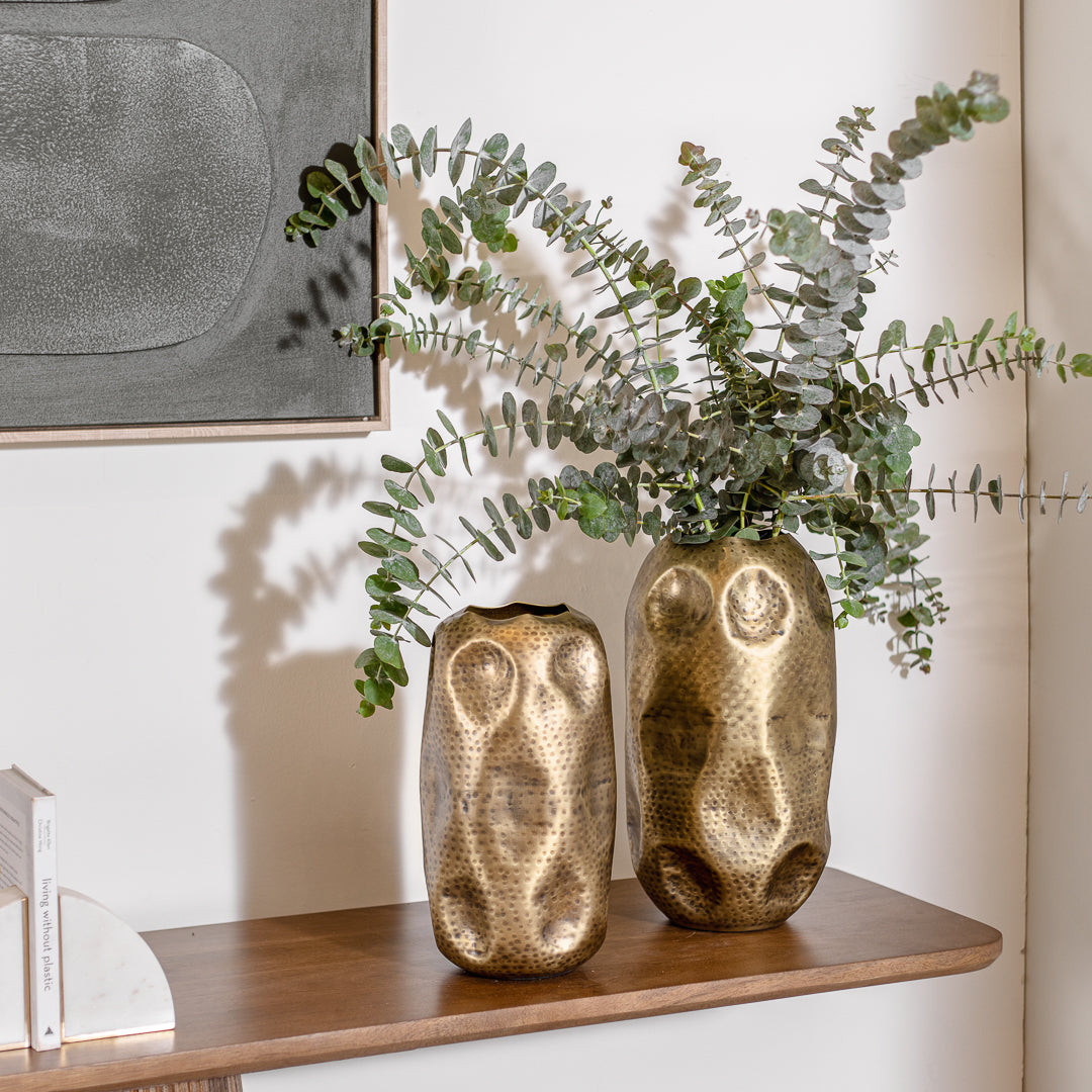 ואזה קוזי בראס L