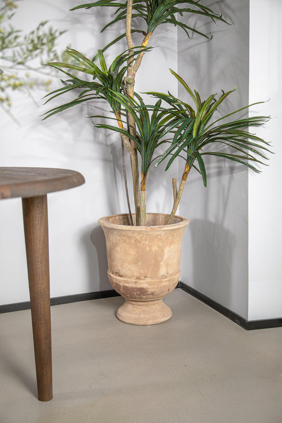 עציץ אואזיס טרקוטה L