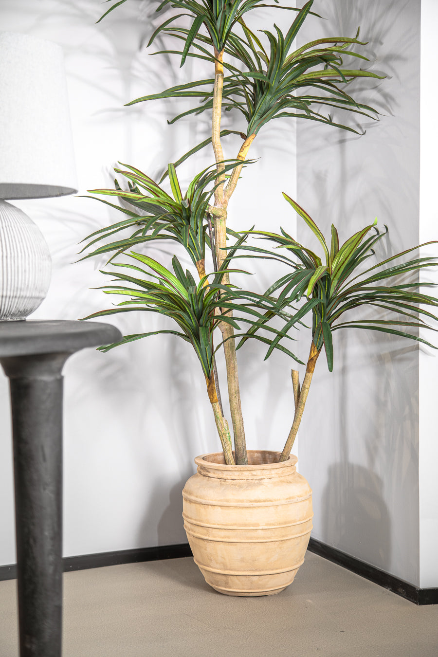 עציץ אואזיס טרקוטה M