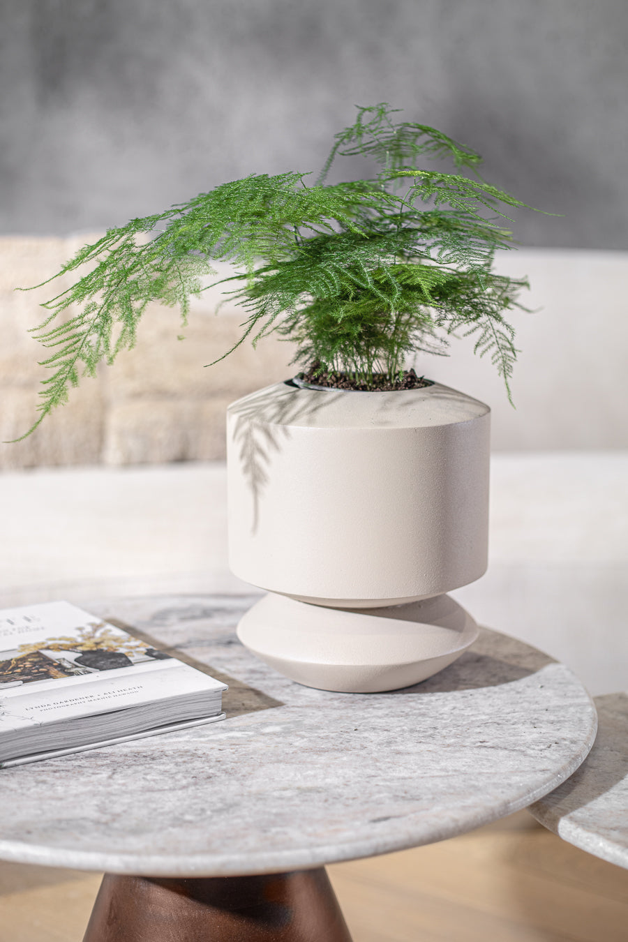 ואזה אייקון קאשמיר