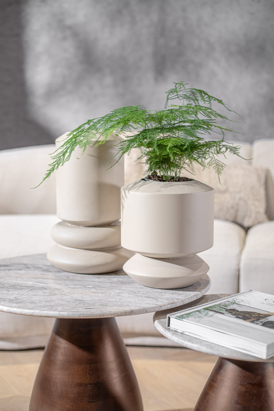 ואזה אייקון קאשמיר