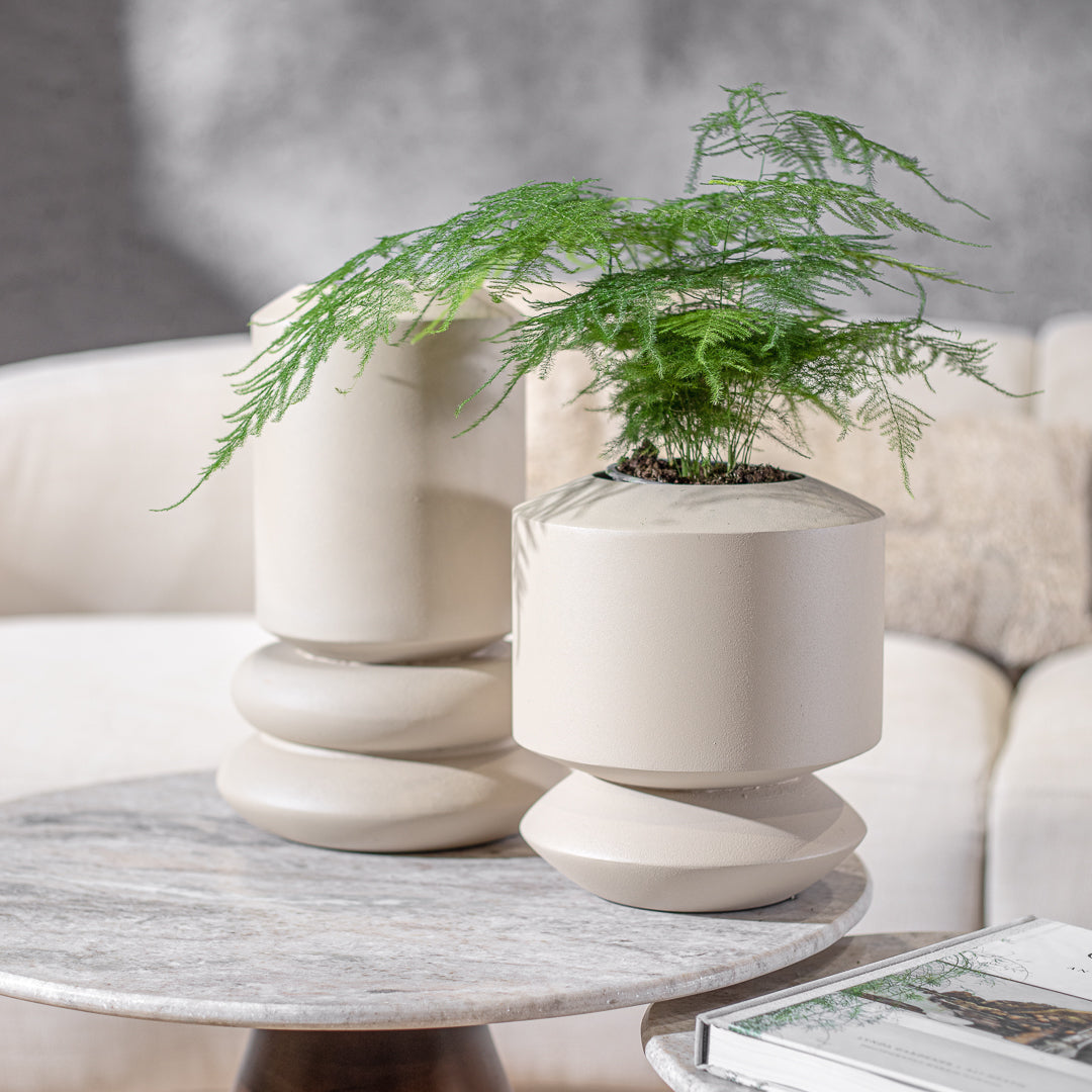 ואזה אייקון קאשמיר