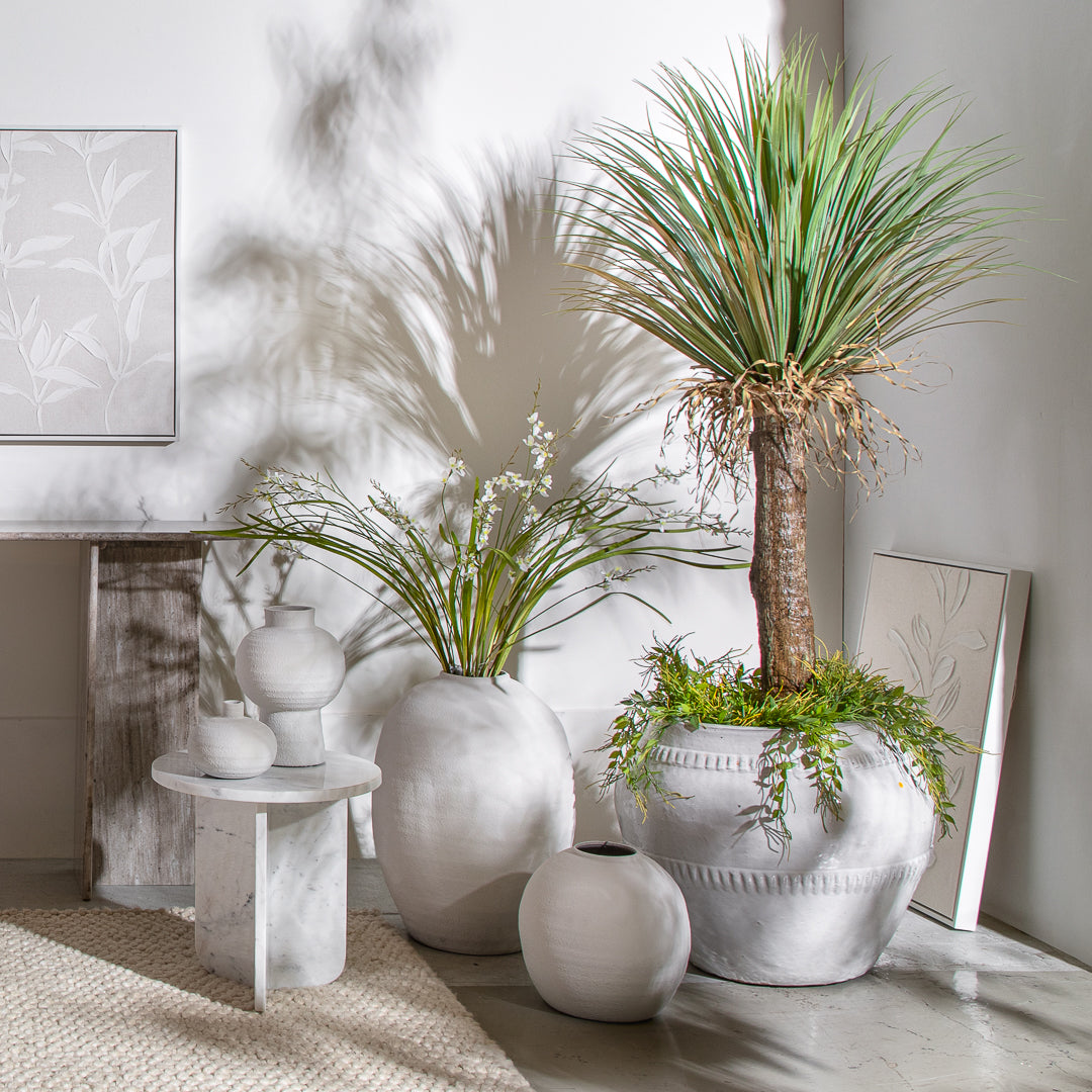 ענף אייר פלנט בוסטון