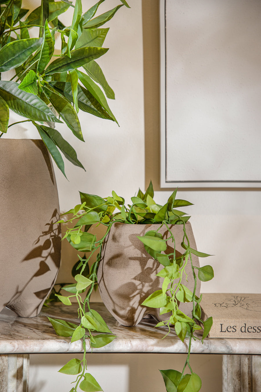 פלנטר ארטמיס קופי בראון M