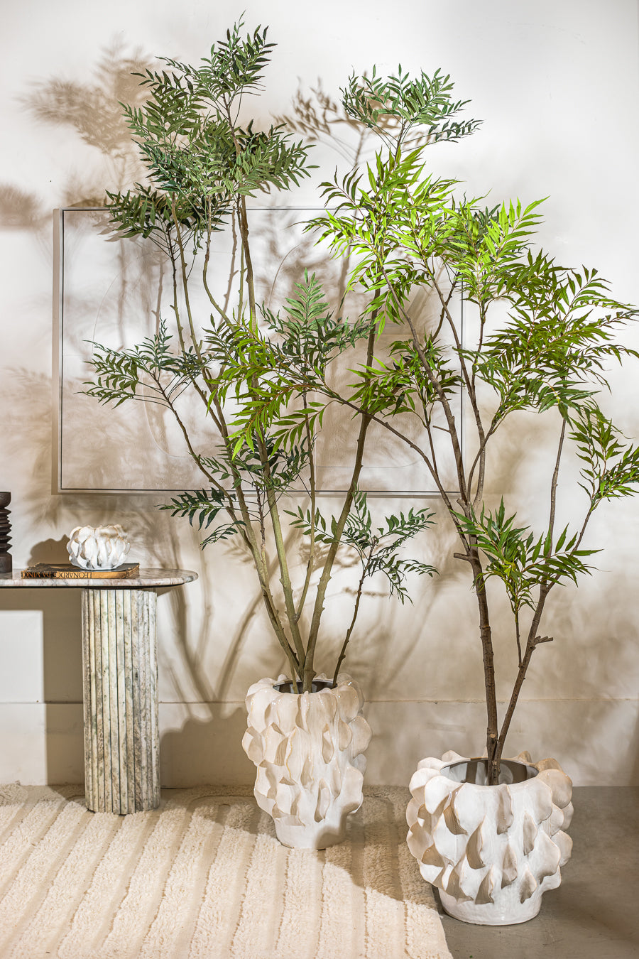 ג'אנגל טרי 240 ס"מ