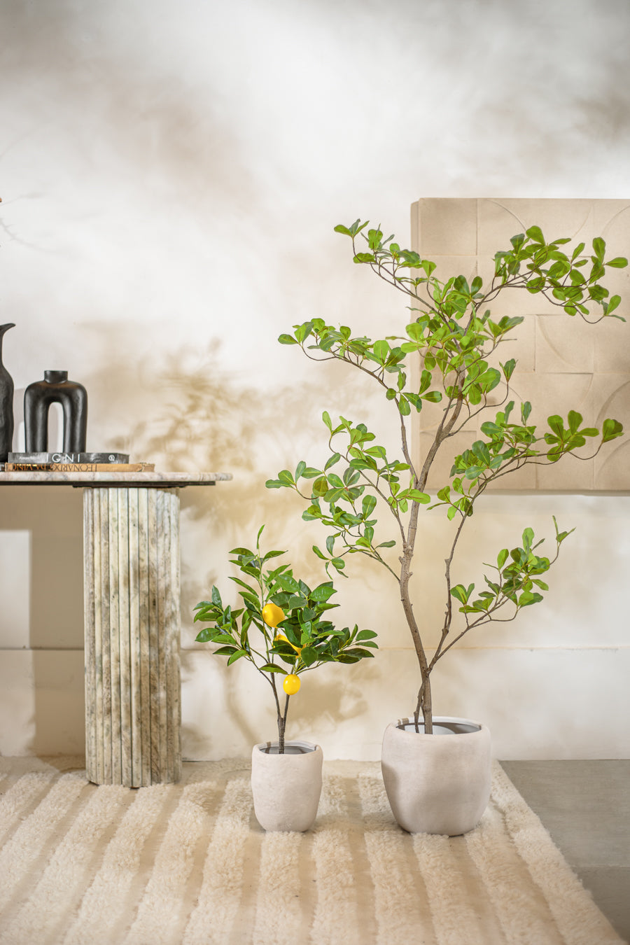 מונסון טרי 120 ס"מ