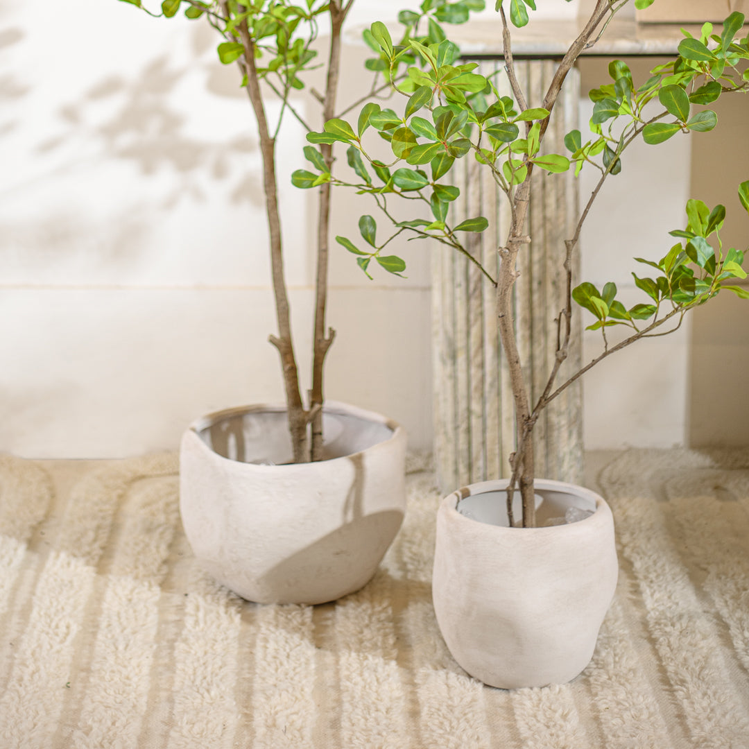 מונסון טרי 180 ס"מ