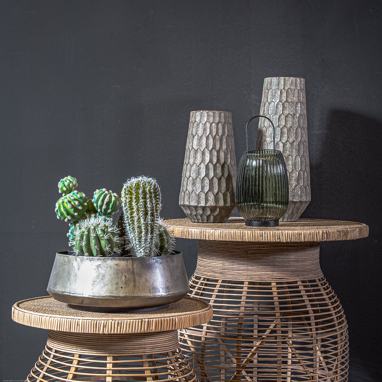 עציץ טרה קקטוס מולטי M