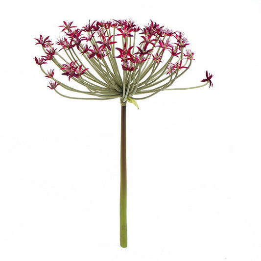 ספיידר הליום רד