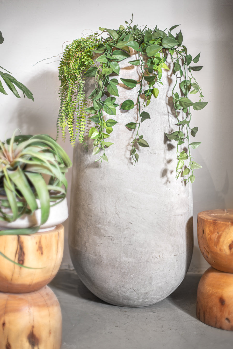 אייר פלנט לייט גרין