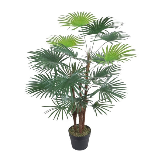 עציץ פאלם מניפה 90 ס"מ
