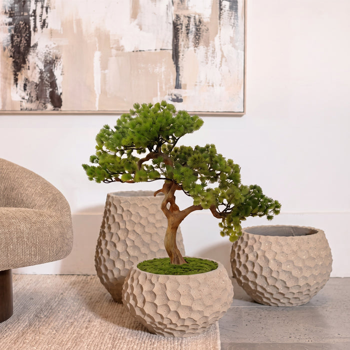 Bonsai Tree 50 cm
