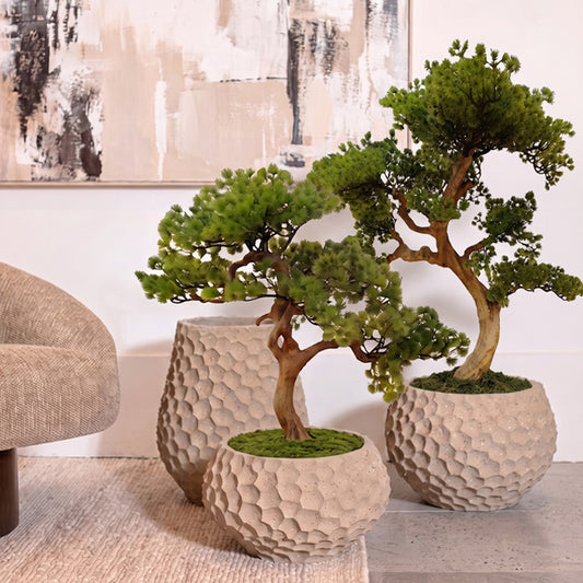 75 cm Bonsai Tree