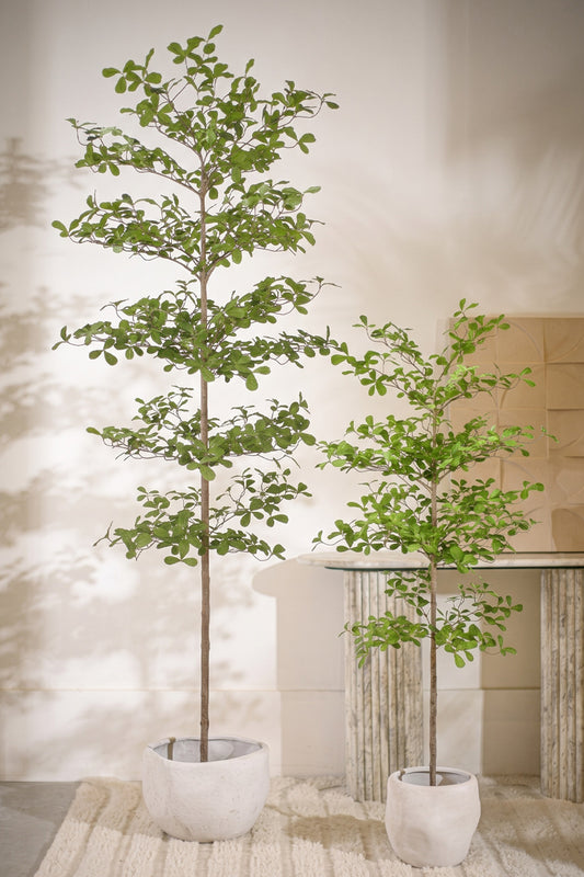 Lady Tree 210 cm