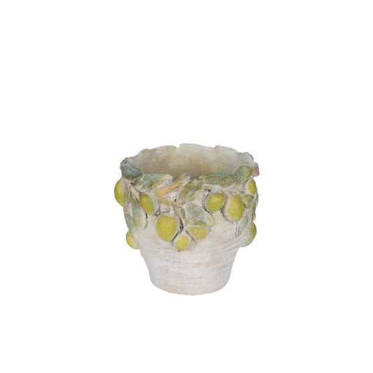 פלנטר אמאלפי M