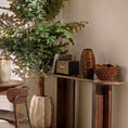 Cozy Brown console
