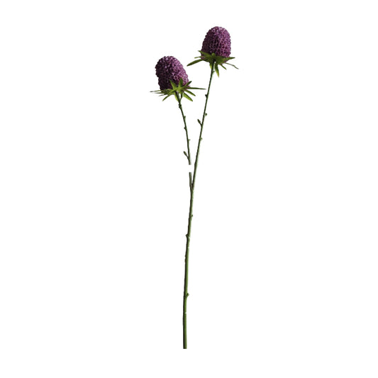 ענף מריגולד מוב-שישייה