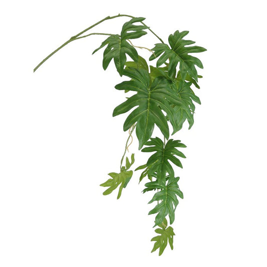 ענף פילי גרין