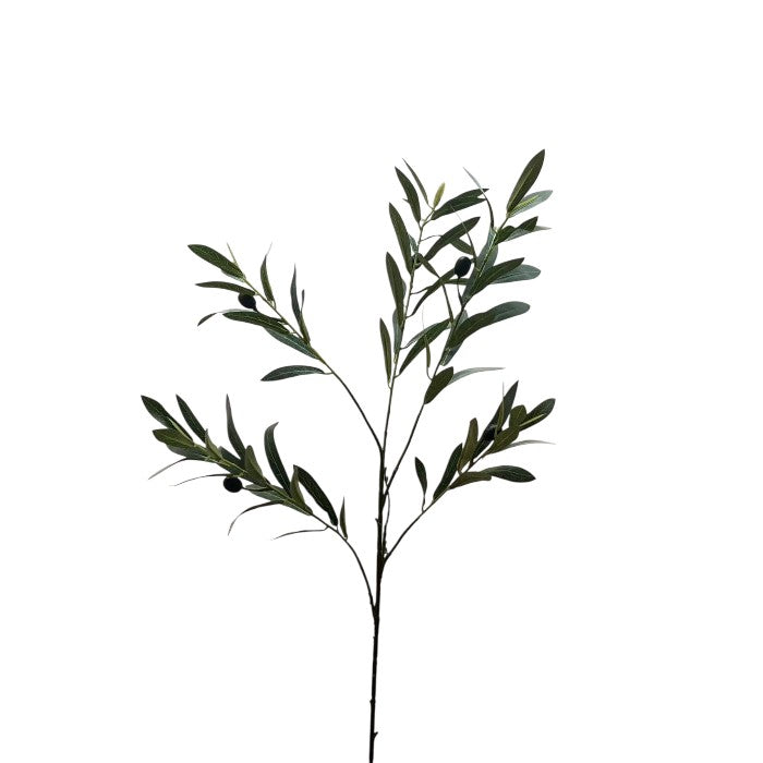 ענף אוליבה גרין