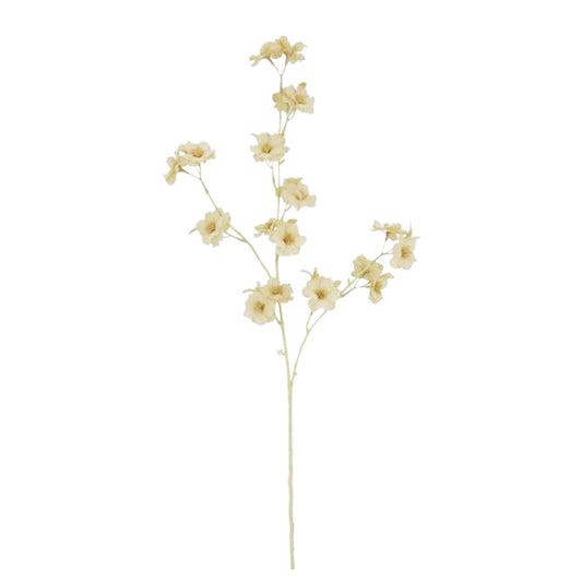 ענף בלוסום מילקי