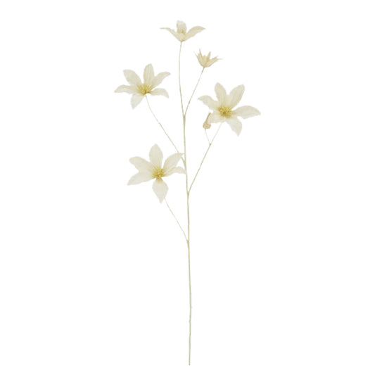 ענף טופ מילקי