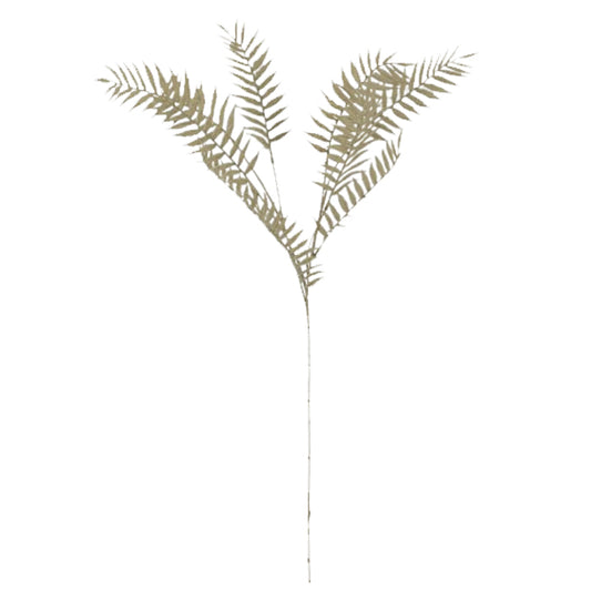 ענף פרן מילקי