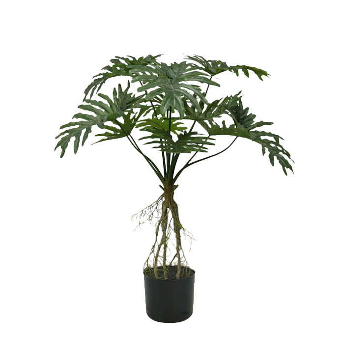 עציץ פילו 120 ס"מ