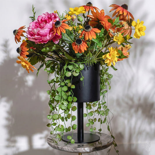 פלנטר סווידיש בלאק