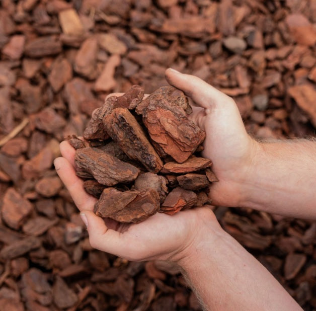 שבבי עץ - מארז