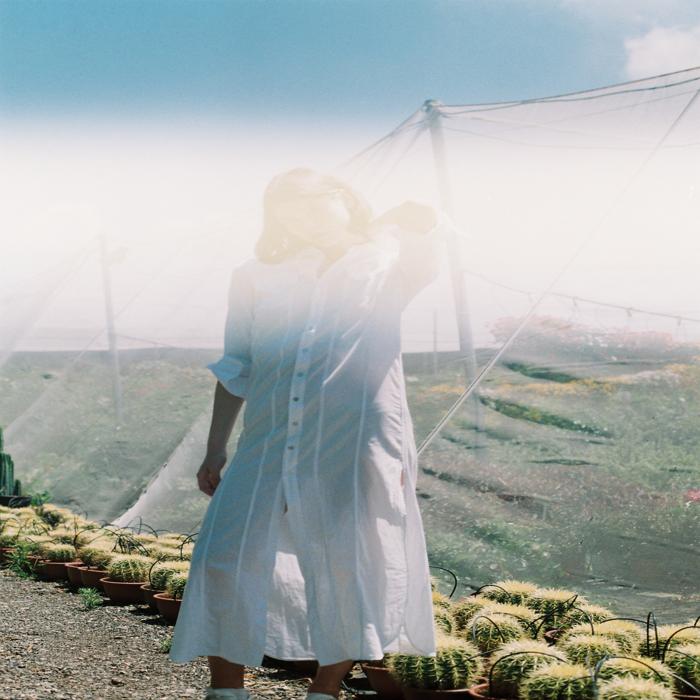 תמונה In the wilderness - הילה כדי